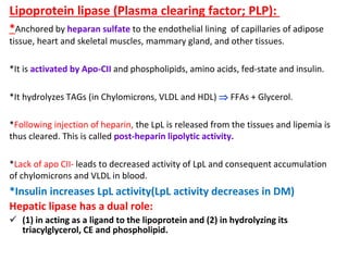 Lipoprotein lipase (Plasma clearing factor; PLP):
*Anchored by heparan sulfate to the endothelial lining of capillaries of adipose
tissue, heart and skeletal muscles, mammary gland, and other tissues.
*It is activated by Apo-CII and phospholipids, amino acids, fed-state and insulin.
*It hydrolyzes TAGs (in Chylomicrons, VLDL and HDL)  FFAs + Glycerol.
*Following injection of heparin, the LpL is released from the tissues and lipemia is
thus cleared. This is called post-heparin lipolytic activity.
*Lack of apo CII- leads to decreased activity of LpL and consequent accumulation
of chylomicrons and VLDL in blood.
*Insulin increases LpL activity(LpL activity decreases in DM)
Hepatic lipase has a dual role:
 (1) in acting as a ligand to the lipoprotein and (2) in hydrolyzing its
triacylglycerol, CE and phospholipid.
 