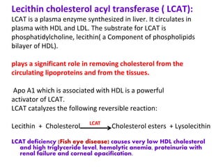 Lecithin cholesterol acyl transferase ( LCAT):
LCAT is a plasma enzyme synthesized in liver. It circulates in
plasma with HDL and LDL. The substrate for LCAT is
phosphatidylcholine, lecithin( a Component of phospholipids
bilayer of HDL).
plays a significant role in removing cholesterol from the
circulating lipoproteins and from the tissues.
Apo A1 which is associated with HDL is a powerful
activator of LCAT.
LCAT catalyzes the following reversible reaction:
Lecithin + Cholesterol Cholesterol esters + Lysolecithin
LCAT deficiency (Fish eye disease) causes very low HDL cholesterol
and high triglyceride level, hemolytic anemia, proteinuria with
renal failure and corneal opacification.
LCAT
 