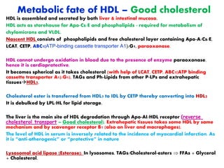 Metabolic fate of HDL – Good cholesterol
HDL is assembled and secreted by both liver & intestinal mucosa.
HDL acts as storehouse for Apo-Cs/E and phospholipids - required for metabolism of
chylomicrons and VLDL.
Nascent HDL consists of phospholipids and free cholesterol layer containing Apo-A/Cs/E,
LCAT, CETP, ABC1(ATP-binding cassette transporter A1)/G1, paraoxonase.
HDL cannot undergo oxidation in blood due to the presence of enzyme paraoxonase,
hence it is cardioprotective.
It becomes spherical as it takes cholesterol (with help of LCAT, CETP, ABC1(ATP binding
cassette transporter A1)/G1), TAGs and Ph-Lipids from other P-LPs and extrahepatic
tissuesHDL3.
Cholesterol ester is transferred from HDL3 to IDL by CETP thereby converting into HDL2
It is debulked by LPL/HL for lipid storage.
The liver is the main site of HDL degradation through Apo-AI/HDL receptor (reverse
cholesterol transport – Good cholesterol). Extrahepatic tissues takes some HDL by same
mechanism and by scavenger receptor B1 (also on liver and macrophages).
The level of HDL in serum is inversely related to the incidence of myocardial infarction. As
it is “anti-atherogenic” or “protective” in nature
Lysosomal acid lipase (Esterase): In lysosomes. TAGs/Cholesterol-esters  FFAs + Glycerol
+ Cholesterol.
 