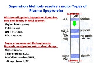 Separation Methods resolve 4 major Types of
Plasma lipoproteins
Ultra-centrifugation: Depends on floatation
rate and density in NaCl solution:
Chylomicrons (<0.96),
VLDL (<1.006),
LDL (1.006-1.063),
HDL (1.063-1.21),
.
Paper or agarose gel Electrophoresis:
Depends on migration rate and net charge.
Chylomicrons,
-lipoproteins (LDL),
Pre--lipoproteins (VLDL),
-lipoproteins (HDL).
 