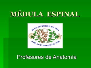 MÉDULA  ESPINAL Profesores de Anatomía 