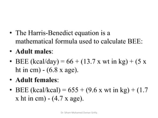 Basal Energy Expenditure