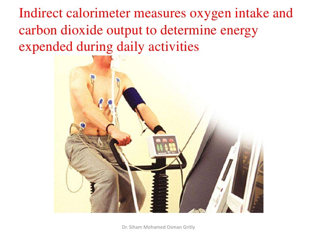 8 measurement of energy expenditure in athletes