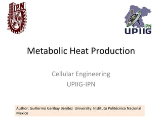 Metabolic Heat Production
Cellular Engineering
UPIIG-IPN
Author: Guillermo Garibay Benítez University: Instituto Politécnico Nacional
Mexico
 