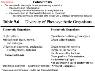 Fotosíntesis                    Fotosíntesis
•   Conversión de la energía luminosa en energía química
     – reacciones que requieren luz
         • la energía de la luz es convertida en energía química
     – reacciones que se observan también en la oscuridad
         • la energía química es empleada para reducir CO2 y sintetizar componentes celulares




    Glaucocystophyta
                                              Gram positive Heliobacterium
                                              Acidobacteria (Type I)
                                              Non chlorophyll based photosynthesis
                                              (Archaeal Halophiles)
Fotosíntesis oxigénica – eucariotas y cianobacterias
Fotosíntesis anoxigénica – todas las demás bacterias
 