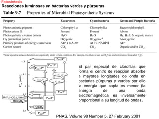 Fotosíntesis
Reacciones luminosas en bacterias verdes y púrpuras




                                      El par especial de clorofilas que
                                      forma el centro de reacción absorbe
                                      a mayores longitudes de onda en
                                      bacterias púrpuras y verdes por ello
                                      la energía que capta es menor (la
                                      energía       de       una       onda
                                      electromagnética es inversamente
                                      proporcional a su longitud de onda) .



                          PNAS, Volume 98 Number 5, 27 February 2001
 