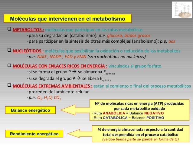 10 cosas sobre metabolismo del calcio y fosforo