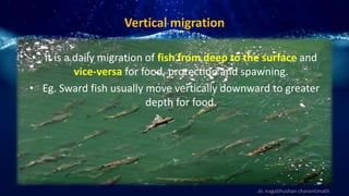 Vertical migration
dr. nagabhushan charantimath
• it is a daily migration of fish from deep to the surface and
vice-versa for food, protection and spawning.
• Eg. Sward fish usually move vertically downward to greater
depth for food.
 