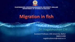 Assistant Professor, VSK University, Ballari
9880121090
nagabhushancm@vskub.ac.in
VIJAYANAGARA SRIKRISHNADEVARAYA UNIVERSITY, BALLARI
DEPARTMENT OF STUDIES IN ZOOLOGY
 