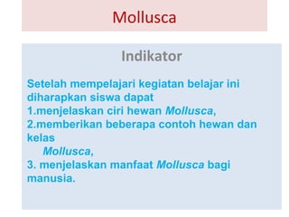 Mollusca
Indikator
Setelah mempelajari kegiatan belajar ini
diharapkan siswa dapat
1.menjelaskan ciri hewan Mollusca,
2.memberikan beberapa contoh hewan dan
kelas
Mollusca,
3. menjelaskan manfaat Mollusca bagi
manusia.
 