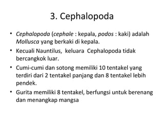 3. Cephalopoda
• Cephalopoda (cephale : kepala, podos : kaki) adalah
Mollusca yang berkaki di kepala.
• Kecuali Nauntilus, keluara Cephalopoda tidak
bercangkok luar.
• Cumi-cumi dan sotong memiliki 10 tentakel yang
terdiri dari 2 tentakel panjang dan 8 tentakel lebih
pendek.
• Gurita memiliki 8 tentakel, berfungsi untuk berenang
dan menangkap mangsa
 