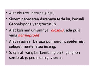• Alat ekskresi berupa ginjal,
• Sistem peredaran darahnya terbuka, kecuali
Cephalopoda yang tertutub.
• Alat kelamin umumnya dioseus, ada pula
yang hermaprodit
• Alat respirasi berupa pulmonum, epidermis,
selaput mantel atau insang.
• S. syaraf yang berkembang baik ganglion
serebral, g. pedal dan g. viseral.
 