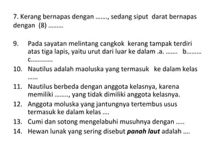 7. Kerang bernapas dengan ……., sedang siput darat bernapas
dengan (8) ………
9. Pada sayatan melintang cangkok kerang tampak terdiri
atas tiga lapis, yaitu urut dari luar ke dalam .a. ……. b………
c………….
10. Nautilus adalah maoluska yang termasuk ke dalam kelas
……
11. Nautilus berbeda dengan anggota kelasnya, karena
memiliki …….., yang tidak dimiliki anggota kelasnya.
12. Anggota moluska yang jantungnya tertembus usus
termasuk ke dalam kelas ….
13. Cumi dan sotong mengelabuhi musuhnya dengan …..
14. Hewan lunak yang sering disebut panah laut adalah ….
 