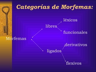 Categorías de Morfemas:
léxicos
libres
funcionales
Morfemas
derivativos
ligados
flexivos
 