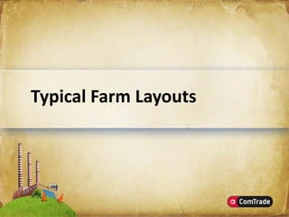 Microsoft SharePoint Server 2007