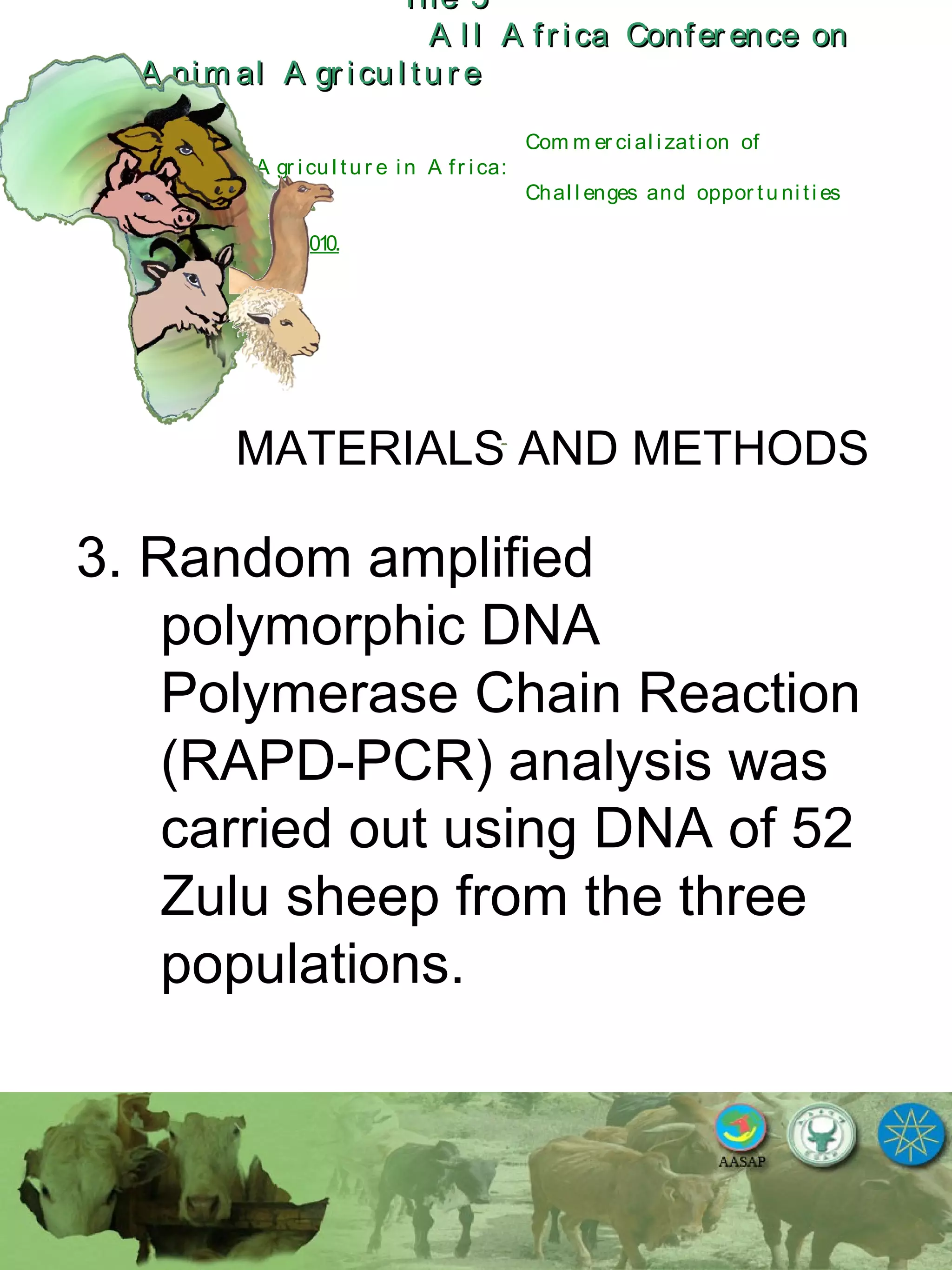 The 5The 5
A l l A fr ica Confer ence onA l l A fr ica Confer ence on
A nim al A gr icu l tu r eA nim al A gr icu l tu r e
Com m er ci al i zati on of
L i v estock A gr i cu l tu r e i n A fr i ca:
Chal l enges and oppor tu ni ti es
October 25-28, 2010.
MATERIALS AND METHODS
3. Random amplified
polymorphic DNA
Polymerase Chain Reaction
(RAPD-PCR) analysis was
carried out using DNA of 52
Zulu sheep from the three
populations.
 