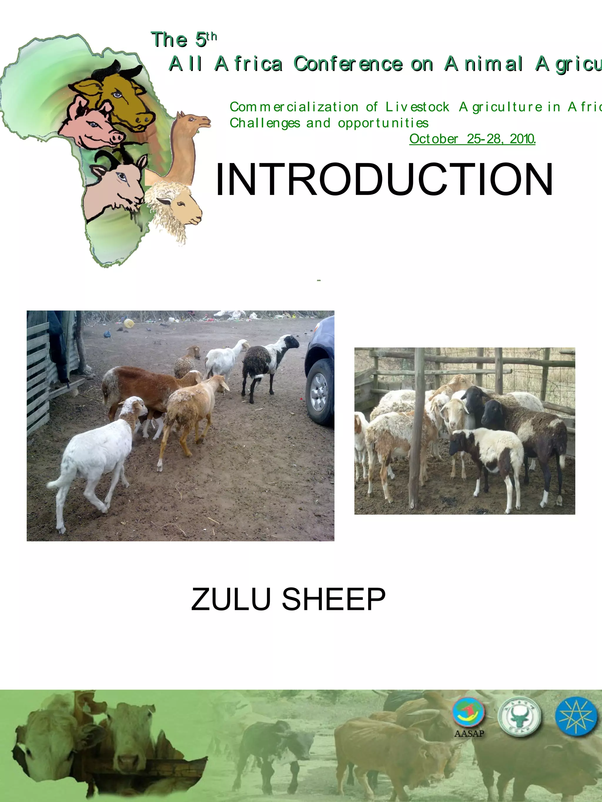 The 5The 5thth
A l l A fr ica Confer ence on A nim al A gr icuA l l A fr ica Confer ence on A nim al A gr icu
Com m er ci al i zati on of L i v estock A gr i cu l tu r e i n A fr i c
Chal l enges and oppor tu ni ti es
October 25-28, 2010.
INTRODUCTION
ZULU SHEEP
 