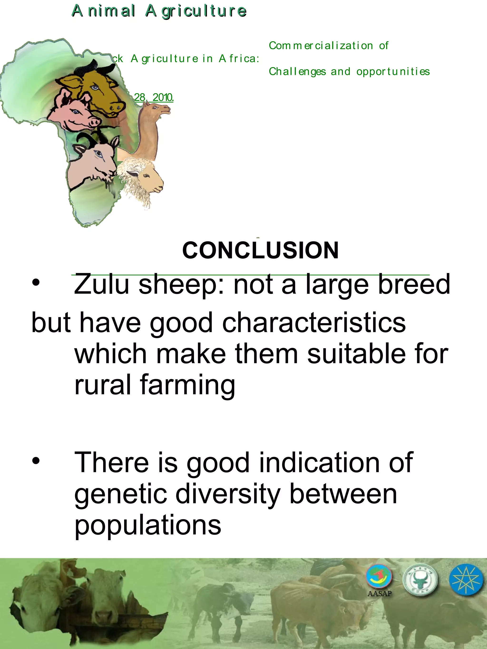 A nim al A gr icu l tu r eA nim al A gr icu l tu r e
Com m er ci al i zati on of
L i v estock A gr i cu l tu r e i n A fr i ca:
Chal l enges and oppor tu ni ti es
October 25-28, 2010.
CONCLUSION
• Zulu sheep: not a large breed
but have good characteristics
which make them suitable for
rural farming
• There is good indication of
genetic diversity between
populations
 