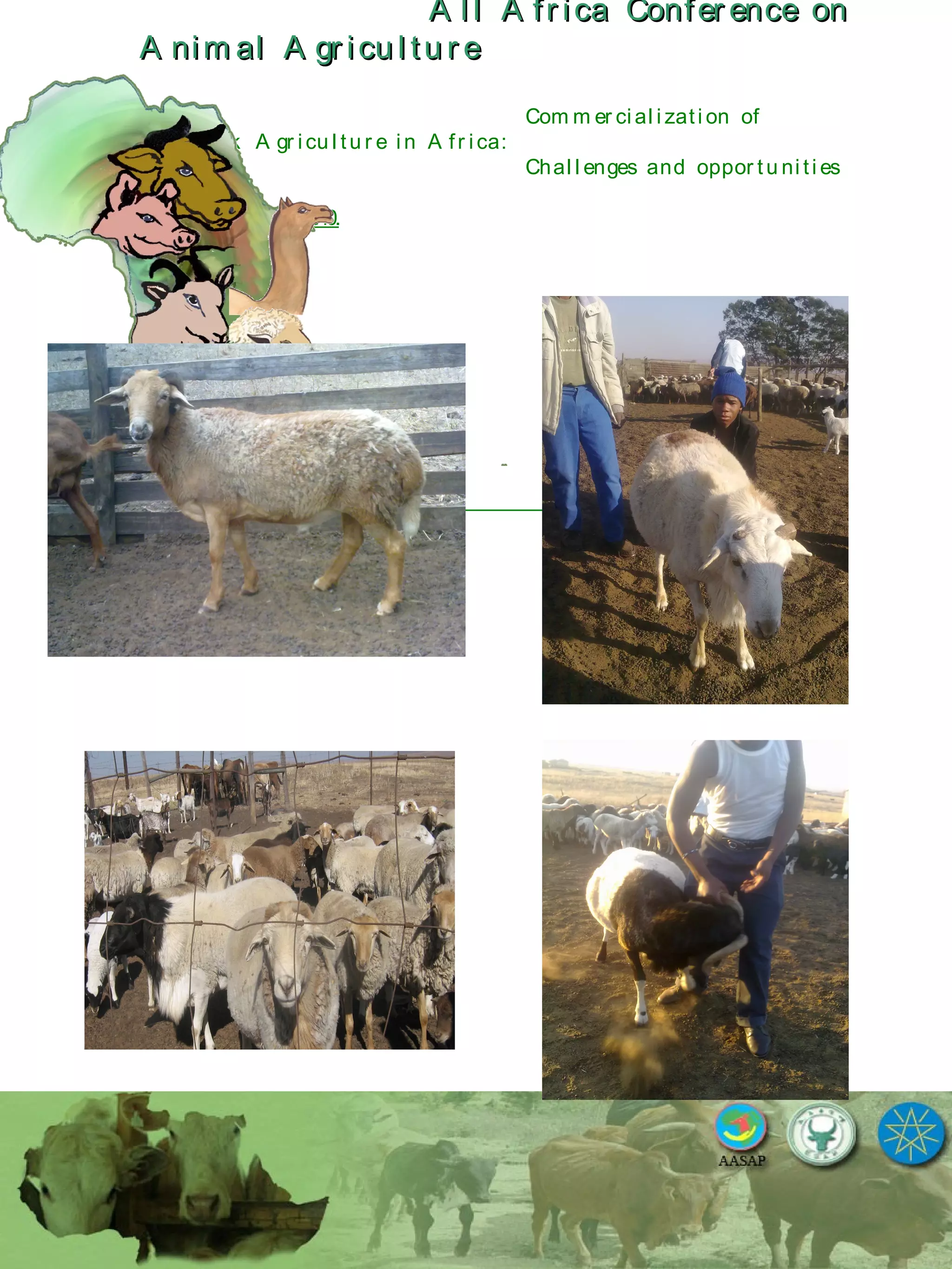 A l l A fr ica Confer ence onA l l A fr ica Confer ence on
A nim al A gr icu l tu r eA nim al A gr icu l tu r e
Com m er ci al i zati on of
L i v estock A gr i cu l tu r e i n A fr i ca:
Chal l enges and oppor tu ni ti es
October 25-28, 2010.
 