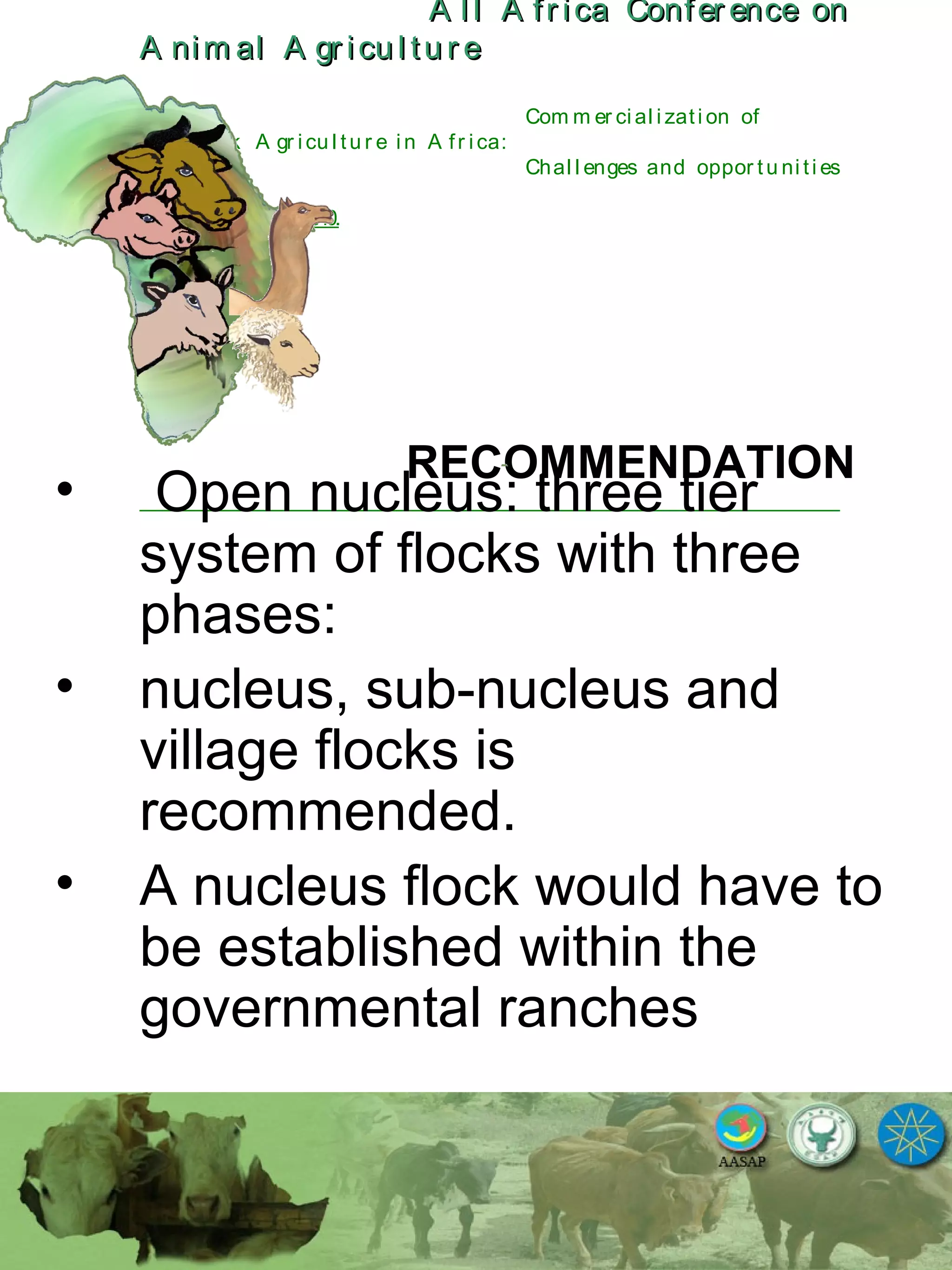 A l l A fr ica Confer ence onA l l A fr ica Confer ence on
A nim al A gr icu l tu r eA nim al A gr icu l tu r e
Com m er ci al i zati on of
L i v estock A gr i cu l tu r e i n A fr i ca:
Chal l enges and oppor tu ni ti es
October 25-28, 2010.
RECOMMENDATION
• Open nucleus: three tier
system of flocks with three
phases:
• nucleus, sub-nucleus and
village flocks is
recommended.
• A nucleus flock would have to
be established within the
governmental ranches
 