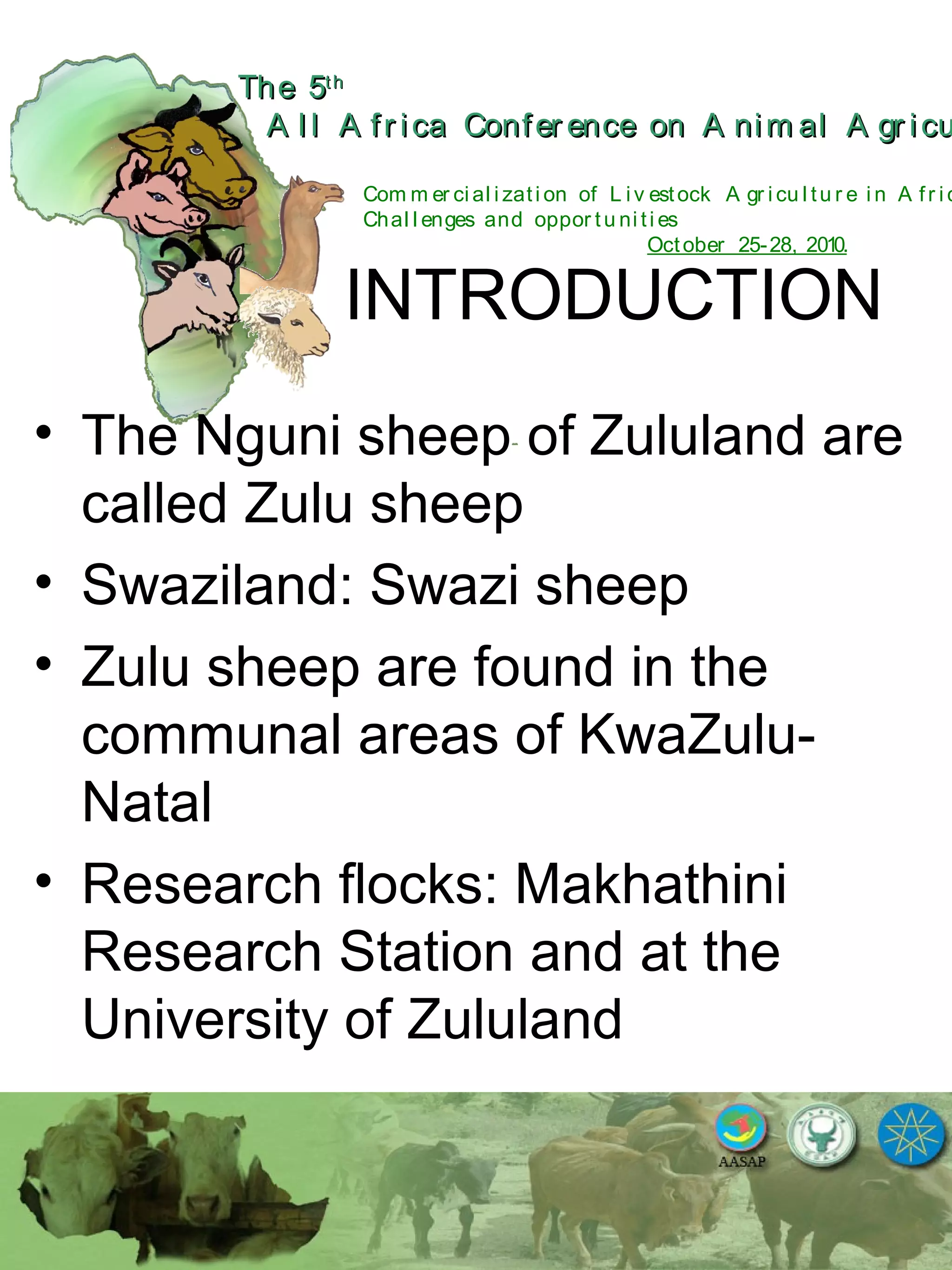 The 5The 5thth
A l l A fr ica Confer ence on A nim al A gr icuA l l A fr ica Confer ence on A nim al A gr icu
Com m er ci al i zati on of L i v estock A gr i cu l tu r e i n A fr i c
Chal l enges and oppor tu ni ti es
October 25-28, 2010.
INTRODUCTION
• The Nguni sheep of Zululand are
called Zulu sheep
• Swaziland: Swazi sheep
• Zulu sheep are found in the
communal areas of KwaZulu-
Natal
• Research flocks: Makhathini
Research Station and at the
University of Zululand
 