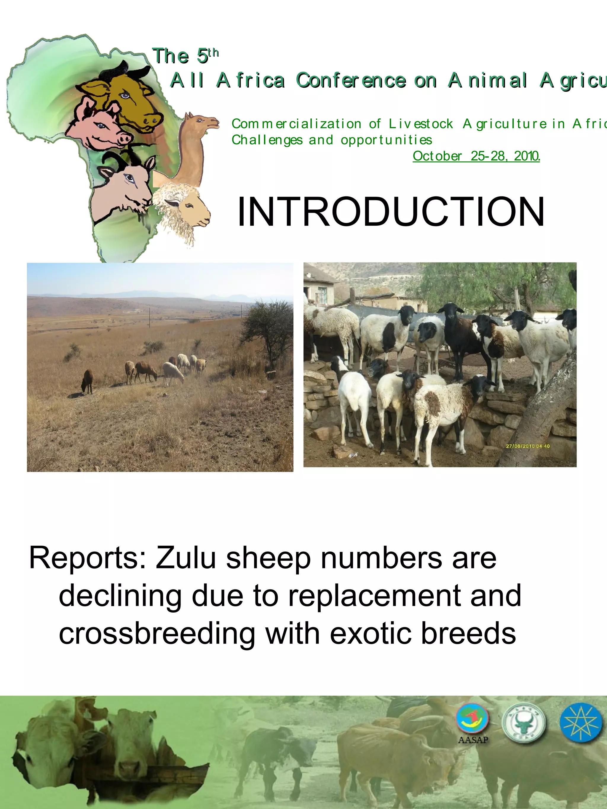 The 5The 5thth
A l l A fr ica Confer ence on A nim al A gr icuA l l A fr ica Confer ence on A nim al A gr icu
Com m er ci al i zati on of L i v estock A gr i cu l tu r e i n A fr i c
Chal l enges and oppor tu ni ti es
October 25-28, 2010.
INTRODUCTION
Reports: Zulu sheep numbers are
declining due to replacement and
crossbreeding with exotic breeds
 