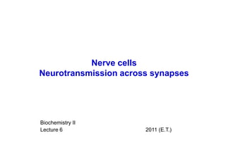 Nerve cells
Neurotransmission across synapses




Biochemistry II
Lecture 6              2011 (E.T.)
 