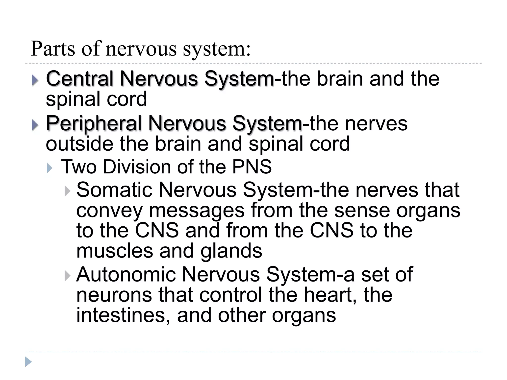 Effects and adaptations of Nervous System to exercise | PPT