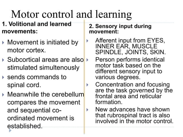 Effects and adaptations of Nervous System to exercise | PPT | Brain and ...