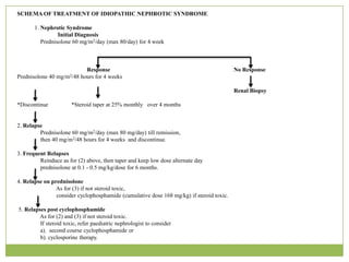 8. Nephrotic Syndrome & AcuteGlomerularNephritis | PPTX