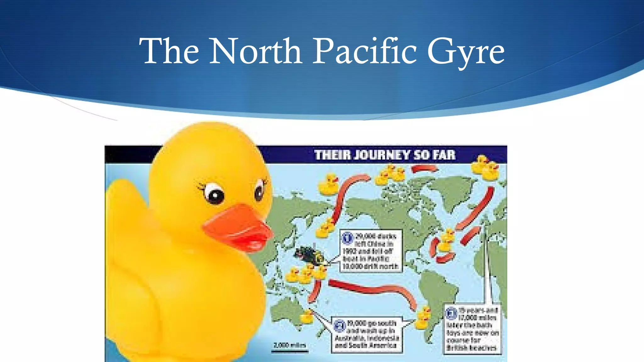 The North Pacific Gyre
 
