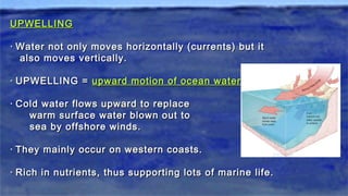UPWELLINGUPWELLING
·· Water not only moves horizontally (currents) but itWater not only moves horizontally (currents) but it
also moves vertically.also moves vertically.
·· UPWELLING =UPWELLING = upward motion of ocean waterupward motion of ocean water
·· Cold water flows upward to replaceCold water flows upward to replace
warm surface water blown out towarm surface water blown out to
sea by offshore winds.sea by offshore winds.
·· They mainly occur on western coasts.They mainly occur on western coasts.
·· Rich in nutrients, thus supporting lots of marine life.Rich in nutrients, thus supporting lots of marine life.
 