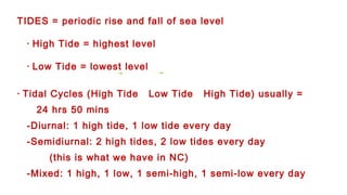 TIDES = periodic rise and fall of sea level
· High Tide = highest level
· Low Tide = lowest level
· Tidal Cycles (High Tide Low Tide High Tide) usually =
24 hrs 50 mins
-Diurnal: 1 high tide, 1 low tide every day
-Semidiurnal: 2 high tides, 2 low tides every day
(this is what we have in NC)
-Mixed: 1 high, 1 low, 1 semi-high, 1 semi-low every day
 