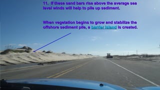 Created by L. Zimmerman
11. If these sand bars rise above the average sea11. If these sand bars rise above the average sea
level winds will help to pile up sediment.level winds will help to pile up sediment.
When vegetation begins to grow and stabilize theWhen vegetation begins to grow and stabilize the
offshore sediment pile, aoffshore sediment pile, a barrier islandbarrier island is created.is created.
 