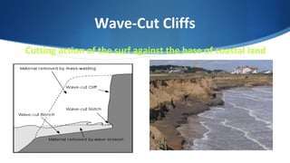 Wave-Cut Cliffs
Cutting action of the surf against the base of coastal land
 