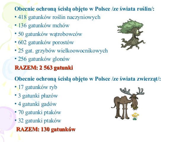 Ochrona przyrody w Polsce