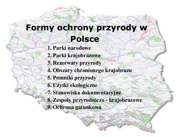 Formy ochrony przyrody w polsce