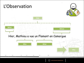 L’Observation
Hier, Mathieu a vue un Flamant en Camargue
When
Who What
Where
How
Why
 