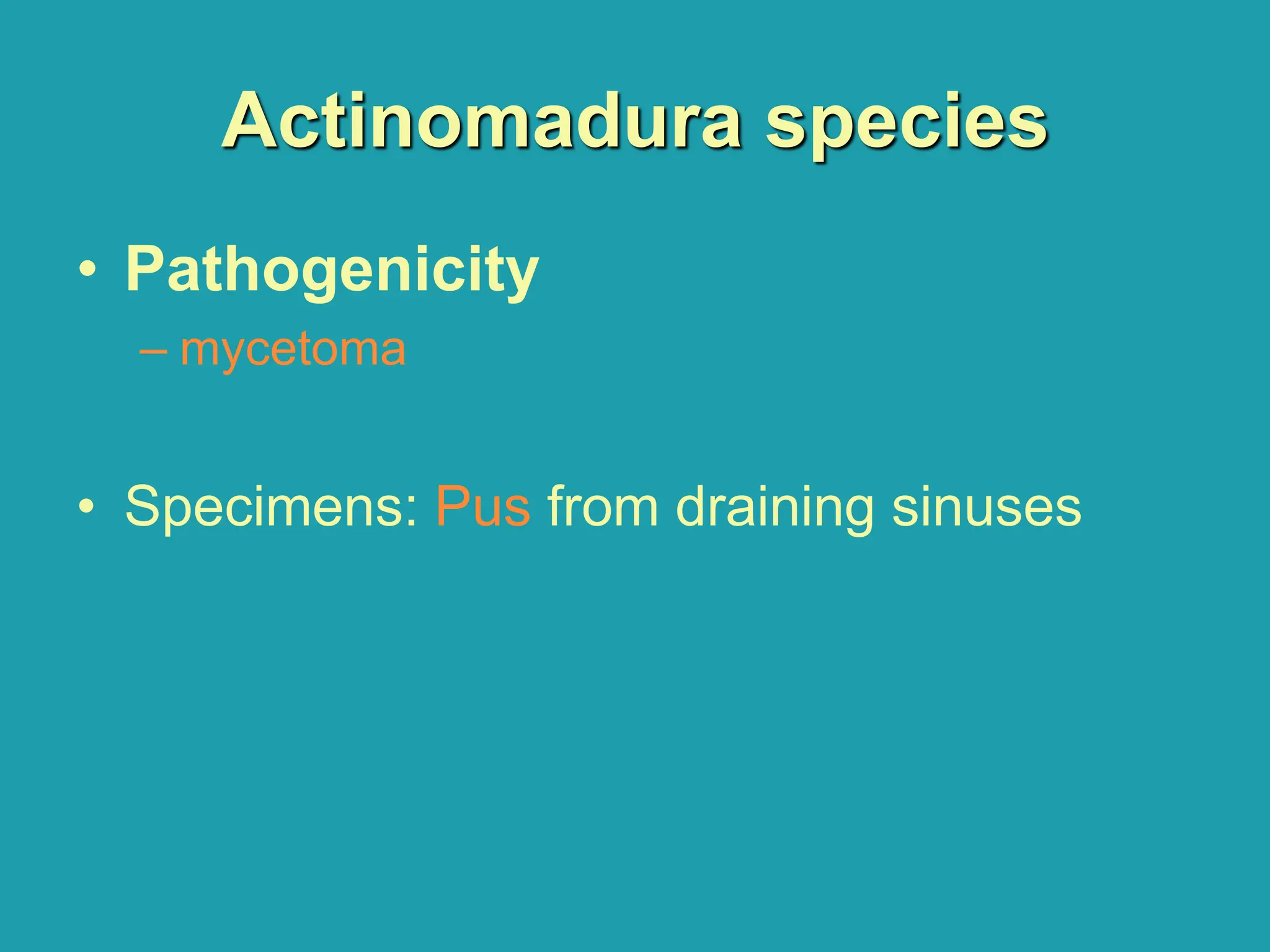 Actinomadura species
• Pathogenicity
– mycetoma
• Specimens: Pus from draining sinuses
 