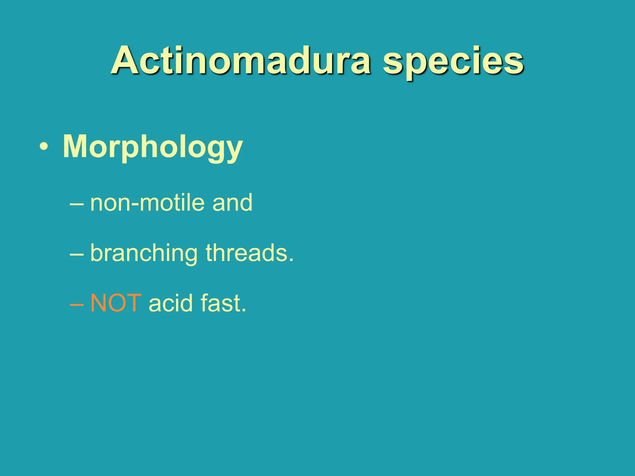 Actinomadura species
• Morphology
– non-motile and
– branching threads.
– NOT acid fast.
 