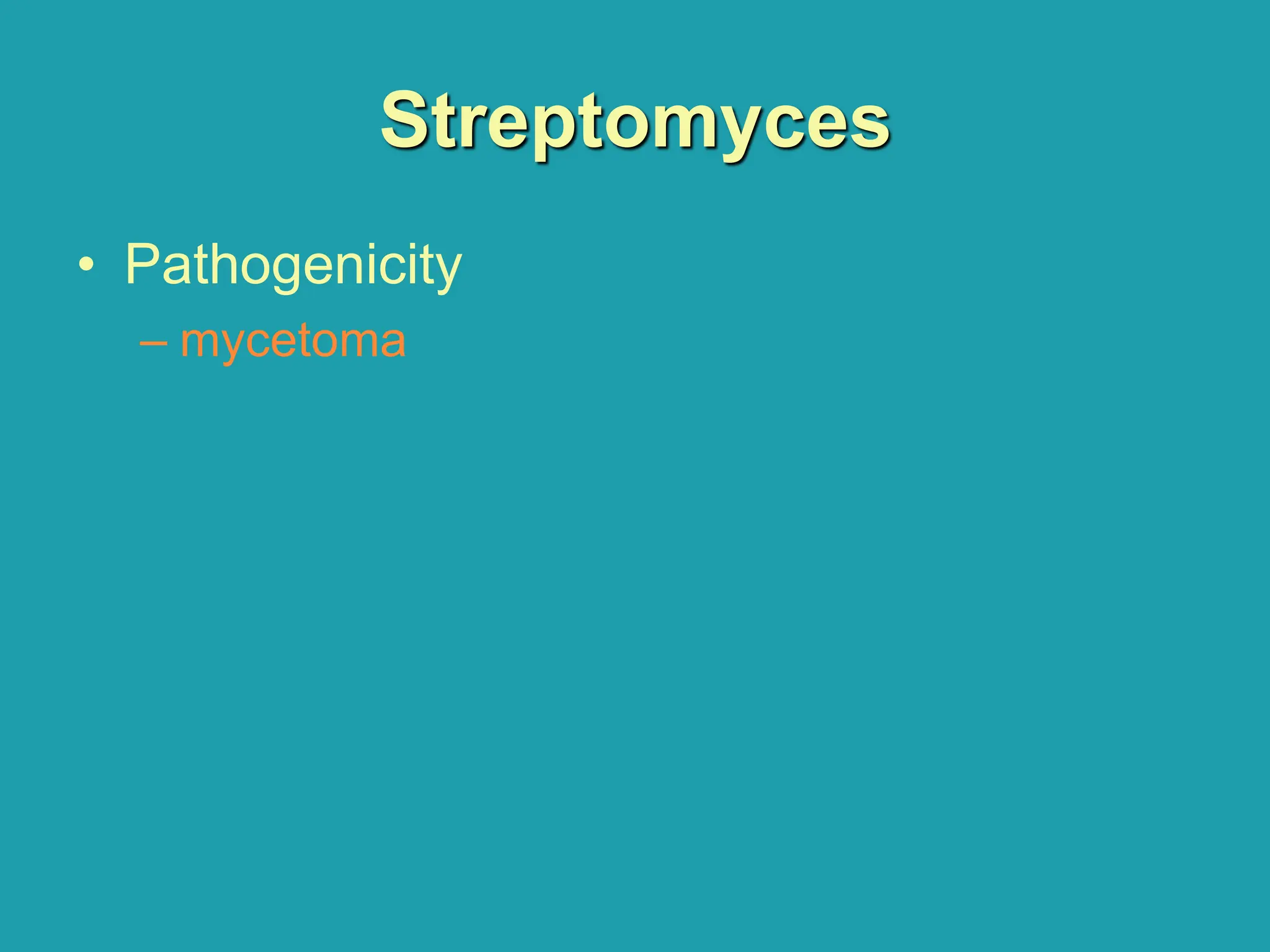 Streptomyces
• Pathogenicity
– mycetoma
 