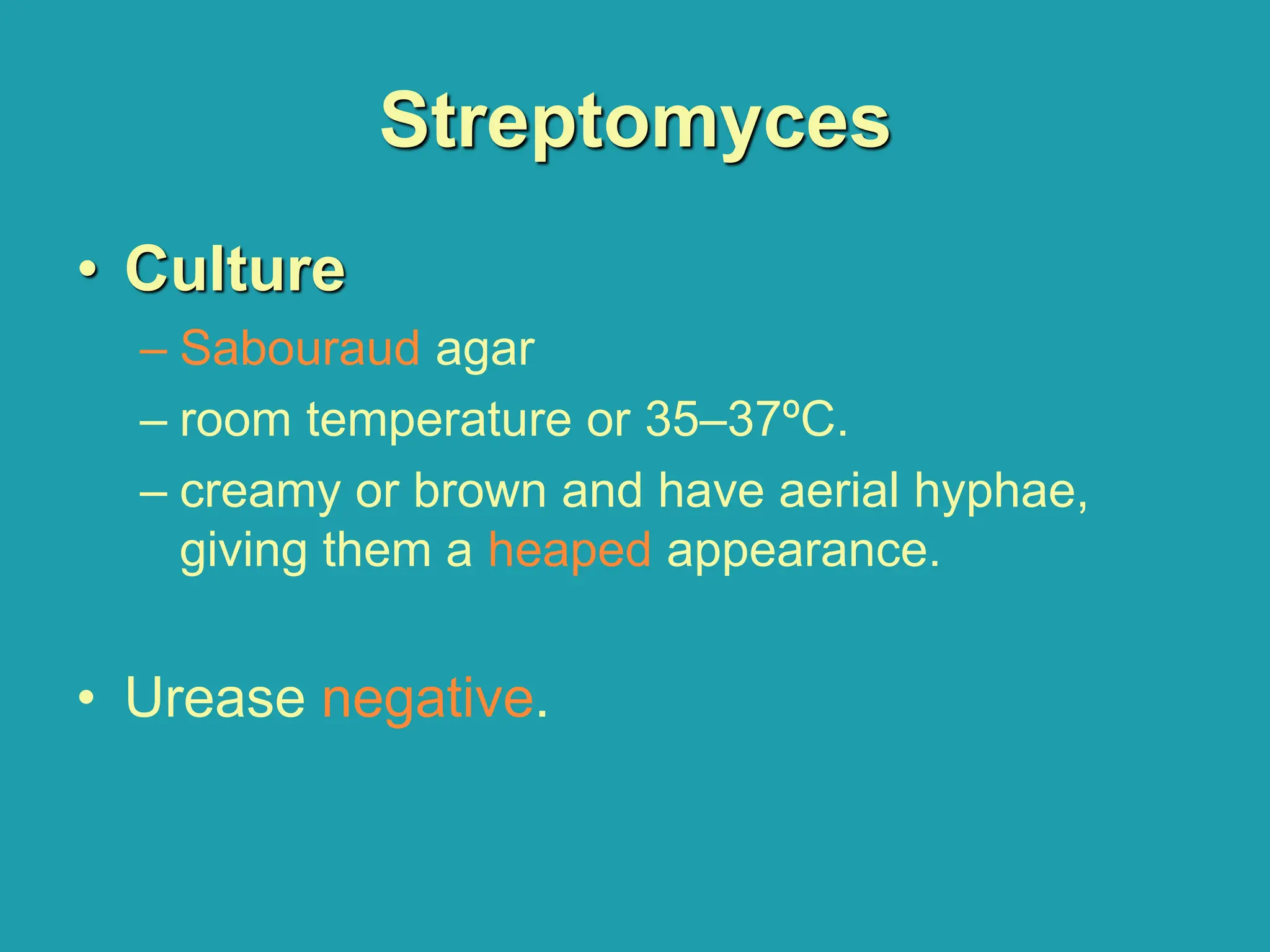 Streptomyces
• Culture
– Sabouraud agar
– room temperature or 35–37ºC.
– creamy or brown and have aerial hyphae,
giving them a heaped appearance.
• Urease negative.
 