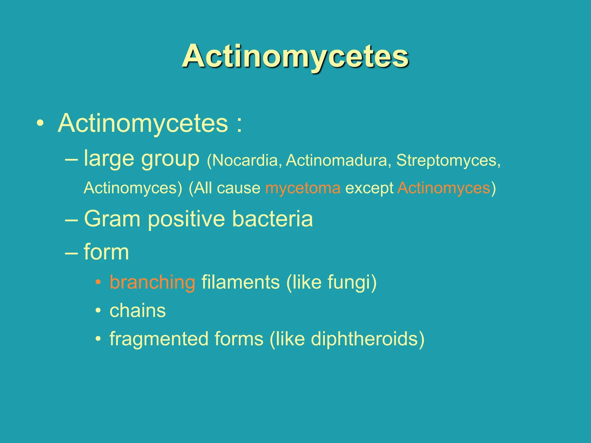 Actinomycetes
• Actinomycetes :
– large group (Nocardia, Actinomadura, Streptomyces,
Actinomyces) (All cause mycetoma except Actinomyces)
– Gram positive bacteria
– form
• branching filaments (like fungi)
• chains
• fragmented forms (like diphtheroids)
 