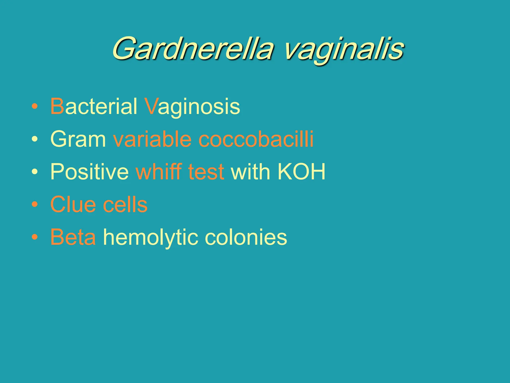 Gardnerella vaginalis
• Bacterial Vaginosis
• Gram variable coccobacilli
• Positive whiff test with KOH
• Clue cells
• Beta hemolytic colonies
 