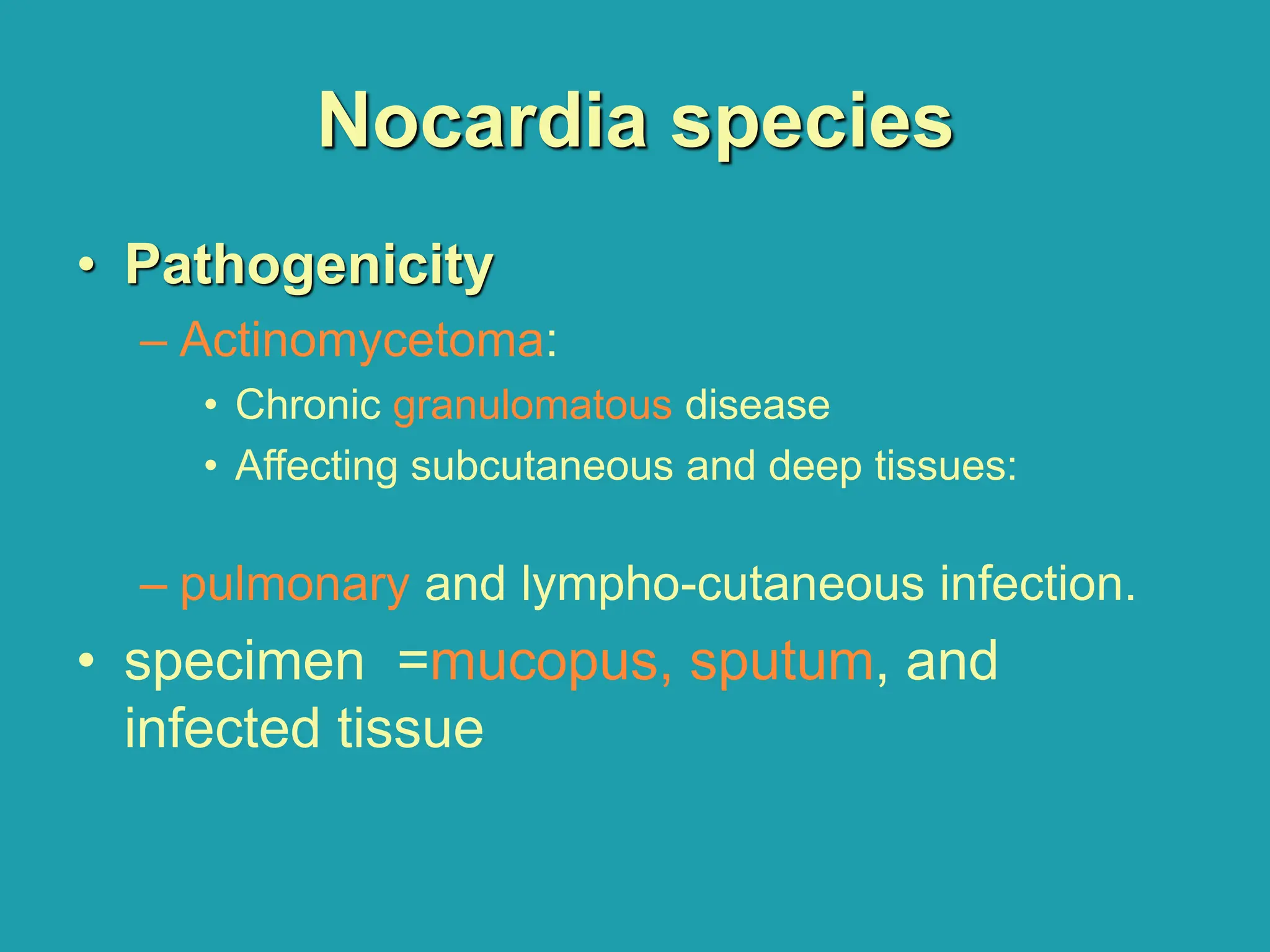 Nocardia species
• Pathogenicity
– Actinomycetoma:
• Chronic granulomatous disease
• Affecting subcutaneous and deep tissues:
– pulmonary and lympho-cutaneous infection.
• specimen =mucopus, sputum, and
infected tissue
 