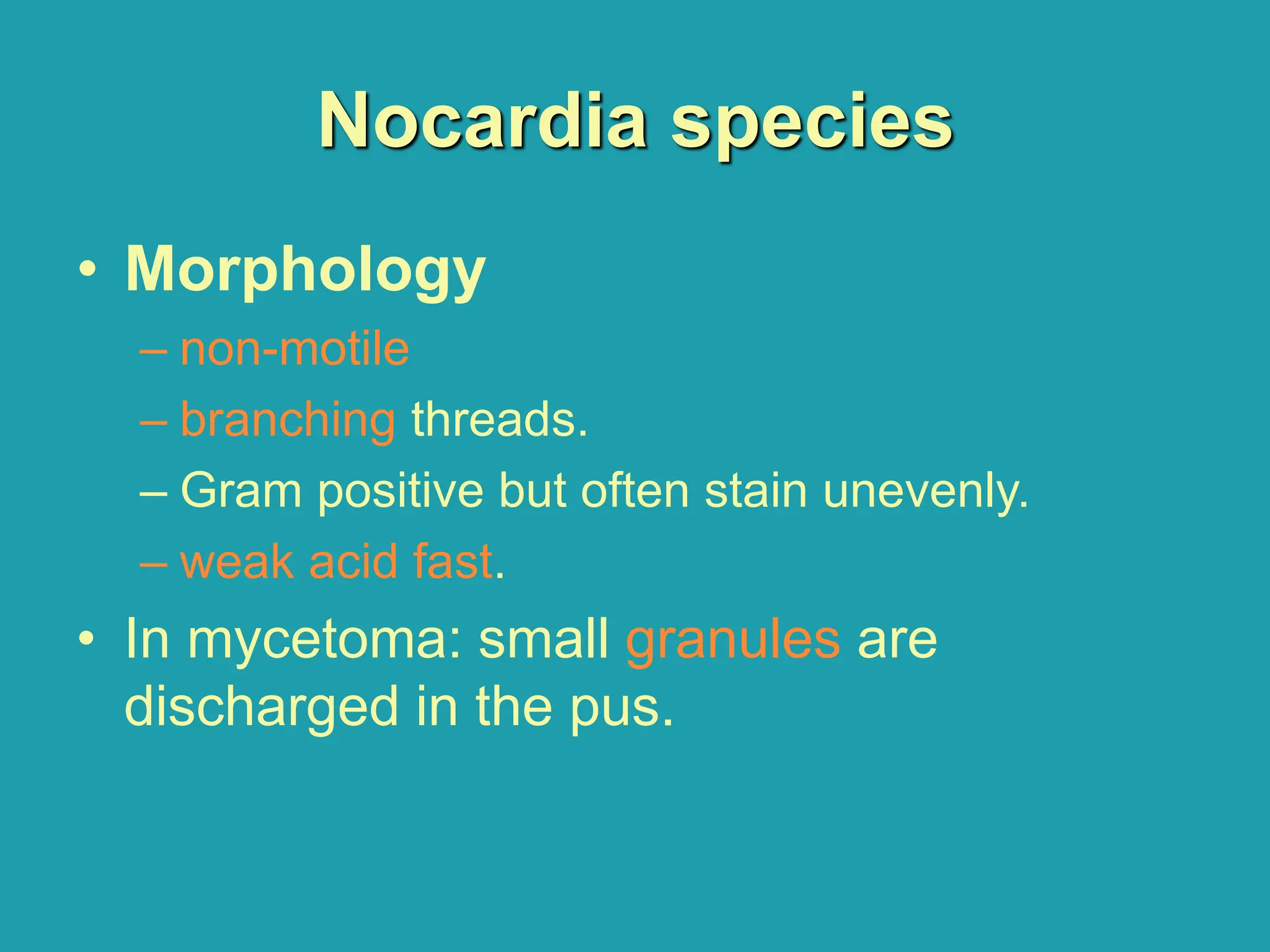 Nocardia species
• Morphology
– non-motile
– branching threads.
– Gram positive but often stain unevenly.
– weak acid fast.
• In mycetoma: small granules are
discharged in the pus.
 