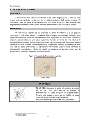 Parasitologia II
424
6.TRICHOMONAS VAGINALIS
INTRODUÇÃO
A tricomoníase tem sido uma morbidade muitas vezes negligenciada 7
, mas que afeta
grande parte da população mundial feminina em idade reprodutiva. OMS registra cerca de 170
milhões de casos por ano e a maioria pertence à faixa etária de 16 a 35 anos. Este pequeno
flagelado habita não só o sistema genital feminino, mas também as vias urinárias do homem.
MORFOLOGIA
O Trichomonas vaginalis só se apresenta na forma de trofozoíto e é um pequeno
protozoário, 5 a 12 µm de diâmetro, portador de 4 flagelos livres num dos pólos da células e um
flagelo recorrente que forma uma membrana ondulante. Apresenta um único núcleo e as demais
organelas características de uma célula eucarionte dispostos em torno de uma estrutura do
citoesqueleto denominada axóstilo, fortemente corada na microscopia ótica. Além disso, existem
inúmeros vacúolos, incluindo os hidrogenossomos, que prestam a função de produção de ATP,
uma vez que estes protozoários não apresentam mitocôndrias. Existem várias estruturas de
citoesqueleto (microtúbulos e fibrilas contráteis) no citoplasma do parasito: costa, que dá
sustentação à membrana ondulante, e fibras parabasais.
Figura 3: Trofozoíto de Trichomonas vaginalis:
Fonte: Autor
TÁ NA WEB!!!
TÁ NA WEB: Não deixe de visitar o link abaixo, acessado
em 27 mai. 2012, para explorar as imagens e
principalmente os ciclos biológicos ali disponibilizados.
Procure pelo parasito a partir do seu habitat no corpo
humano e em seguida pela ordem alfabética.
http://www.dpd.cdc.gov/dpdx/HTML/Para_Health.htm
7
PASSOS, 2006.
 