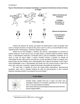Parasitologia II
430
Figura 6: Reconhecendo um hemíptero hematófago e as espécies de triatomíneos vetores na Doença
de Chagas:
Hábitos alimentares dos
hemípteros:
A) fitófago,
B) predador, ou
C) hematófago
Gêneros de triatomíneos:
D) Panstrongylus,
E) Triatoma, e
F) Rhodnius.
Fonte: Neves, 2005.
Existem três gêneros de vetores, que podem ser diferenciados a partir da posição onde
ocorre a inserção da antena: na base do olho, entre o rostro e o olho ou na extremidade do rostro,
respectivamente, Panstrongylus, Triatoma e Rhodnius (Figura 6).
Apesar de ser vetor biológico, o barbeiro não inocula o tripomastígota no momento do
repasto sanguíneo. O que ocorre é que, ao sugar sangue, o barbeiro acaba por defecar. Nestas
fezes, o tripomastígota metacíclico é eliminado sobre a pele do hospedeiro vertebrado. Ao se
coçar ou roçar em algum objeto, o próprio mamífero introduz o parasito na solução de
continuidade da pele mais próxima, que pode ser o ponto da picada do inseto ou qualquer outra
lesão de pele nas proximidades, pois o tripomastígota não é capaz de atravessar a pele íntegra.
Outra possibilidade é que o tripomastígota seja levado até uma mucosa durante a ação de se
coçar, pois, neste caso, o parasito é capaz de atravessar este epitélio de revestimento.
Por outro lado, a ingestão de carne mal cozida destes reservatórios, aparentemente
saudáveis, assim como a ingestão acidental de caldo de cana-de-açúcar ou açaí contendo
barbeiros infectados também é uma patente forma de contágio 11
.
TÁ NA WEB!!!
Geração saúde, cuidado! Será que a culpa é do açaí? Leia a
reportagem disponível no link abaixo (acessada em 27 de maio de
2012), e tire suas próprias conclusões!
http://exame.abril.com.br/tecnologia/noticias/acai-pode-transmitir-
doenca-chagas-558972
11
Reportagens recentes: YANO, 2010; e FOLHA, 2005.
 