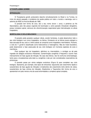 Parasitologia II
438
9.TOXOPLASMA GONDII
INTRODUÇÃO
O Toxoplasma gondii, protozoário descrito simultaneamente no Brasil e na Tunísia, no
início do século passado, é problema de saúde pública em todo o mundo e reemergiu com o
advento da AIDS no final da década de 1980.
O parasito tem forma de arco, daí o seu nome (toxon = arco), e pertence ao filo
Apicomplexa, pois não possui organela de locomoção e, como parasito intracelular obrigatório,
possui complexo apical, estrutura de ultramicroscopia responsável pela internalização na célula
hospedeira.
MORFOLOGIA E CICLO BIOLÓGICO
O parasito pode parasitar qualquer célula, exceto hemácias, é pode desenvolver todo o
seu ciclo biológico num único hospedeiro: os felinos. Entretanto só os felinos jovens abrigam a
fase sexuada de seu ciclo e o felino adulto se comporta como hospedeiro intermediário. Portanto,
o ciclo do T. gondii é classificado como heteroxênico e heterogênico. Mas de modo facultativo,
pode desenvolver a fase assexuada de seu ciclo biológico em inúmeras espécies de aves e
mamíferos.
Para qualquer tipo de hospedeiro, definitivo ou intermediário, o contágio se dá pela
ingestão de estágios evolutivos infectantes. Contaminação congênita é frequente e ocorre mais
intensamente em fase aguda da infecção. No caso dos felinos, não há nenhuma sintomatologia,
tanto para a toxoplasmose pós-natal ou congênita e são por isto considerados reservatórios da
protozoose.
O parasito passa por vários estágios evolutivos (Figura 9) para completar seu ciclo
biológico. Apresenta, por exemplo, dois tipos de trofozoítos: taquizoítos (de crescimento rápido e
característico da fase aguda da infecção) e bradizoítos (de crescimento lento dentro de cistos,
característico da fase crônica da infecção). Bradizoítos e Taquizoítos têm forma de arco e
apresentam em pelo menos uma de suas extremidades o complexo apical completo.
 