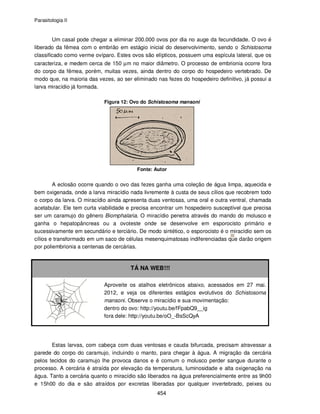 Parasitologia II
454
Um casal pode chegar a eliminar 200.000 ovos por dia no auge da fecundidade. O ovo é
liberado da fêmea com o embrião em estágio inicial do desenvolvimento, sendo o Schistosoma
classificado como verme ovíparo. Estes ovos são elípticos, possuem uma espícula lateral, que os
caracteriza, e medem cerca de 150 µm no maior diâmetro. O processo de embrionia ocorre fora
do corpo da fêmea, porém, muitas vezes, ainda dentro do corpo do hospedeiro vertebrado. De
modo que, na maioria das vezes, ao ser eliminado nas fezes do hospedeiro definitivo, já possui a
larva miracídio já formada.
Figura 12: Ovo do Schistosoma mansoni
Fonte: Autor
A eclosão ocorre quando o ovo das fezes ganha uma coleção de água limpa, aquecida e
bem oxigenada, onde a larva miracídio nada livremente à custa de seus cílios que recobrem todo
o corpo da larva. O miracídio ainda apresenta duas ventosas, uma oral e outra ventral, chamada
acetabular. Ele tem curta viabilidade e precisa encontrar um hospedeiro susceptível que precisa
ser um caramujo do gênero Biomphalaria. O miracídio penetra através do mando do molusco e
ganha o hepatopâncreas ou a ovoteste onde se desenvolve em esporocisto primário e
sucessivamente em secundário e terciário. De modo sintético, o esporocisto é o miracídio sem os
cílios e transformado em um saco de células mesenquimatosas indiferenciadas que darão origem
por poliembrionia a centenas de cercárias.
TÁ NA WEB!!!
Aproveite os atalhos eletrônicos abaixo, acessados em 27 mai.
2012, e veja os diferentes estágios evolutivos do Schistosoma
mansoni. Observe o miracídio e sua movimentação:
dentro do ovo: http://youtu.be/fFpabQ9__ig
fora dele: http://youtu.be/oO_-BsScQyA
Estas larvas, com cabeça com duas ventosas e cauda bifurcada, precisam atravessar a
parede do corpo do caramujo, incluindo o manto, para chegar à água. A migração da cercária
pelos tecidos do caramujo lhe provoca danos e é comum o molusco perder sangue durante o
processo. A cercária é atraída por elevação da temperatura, luminosidade e alta oxigenação na
água. Tanto a cercária quanto o miracídio são liberados na água preferencialmente entre as 9h00
e 15h00 do dia e são atraídos por excretas liberadas por qualquer invertebrado, peixes ou
 